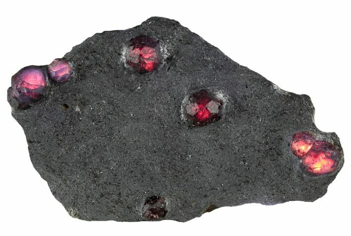 Plate of Eight Red Embers Garnets in Graphite - Massachusetts #313549